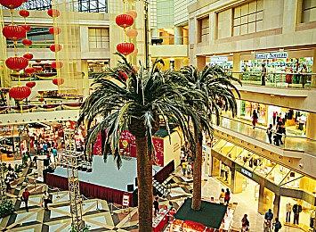 1.0版《星座上升》11月14日上市 同步登陆主机平台